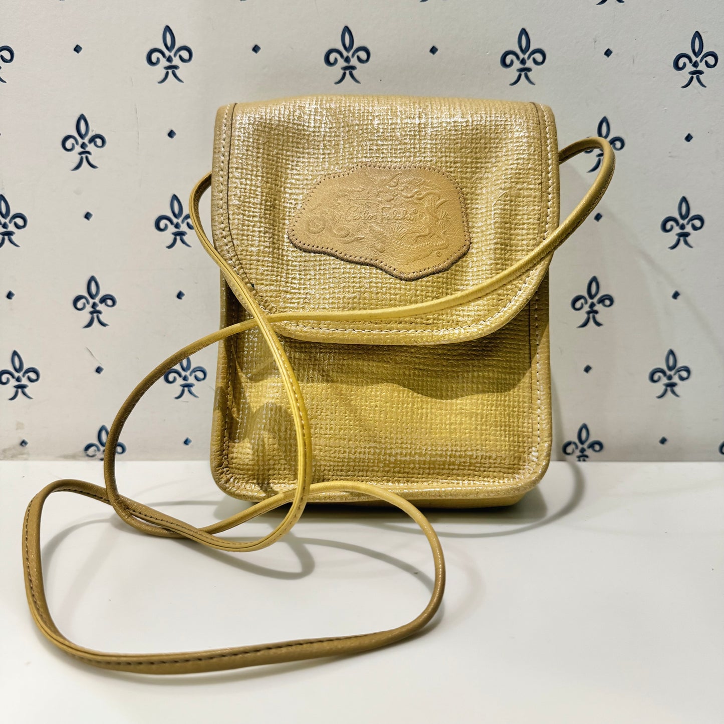 Vintage Coated Canvas Crossbody